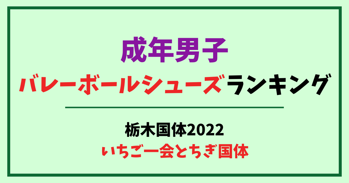 成年男子バレーボールシューズランキング　栃木国体2022　いちご一会とちぎ国体