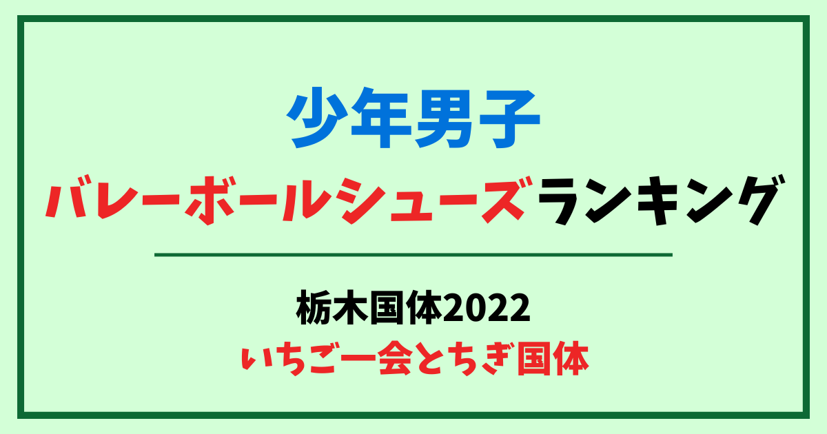 少年男子バレーボールシューズランキング　栃木国体2022　いちご一会とちぎ国体
